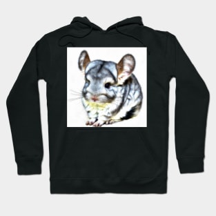 cute chinchilla 7 Hoodie